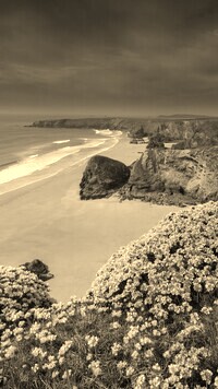 Szary + Sepia