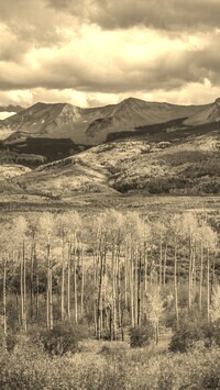 Sepia