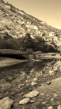Sepia