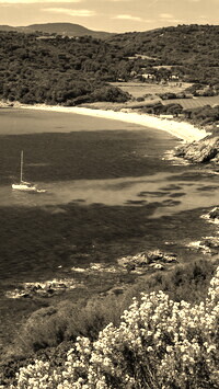 Sepia