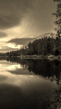 Szary + Sepia