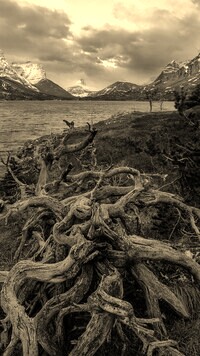 Szary + Sepia