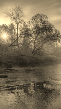 Szary + Sepia