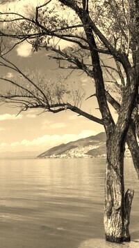 Szary + Sepia
