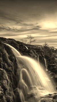 Sepia