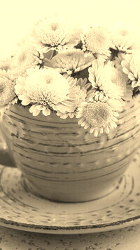 Sepia