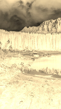 Sepia + Negatyw