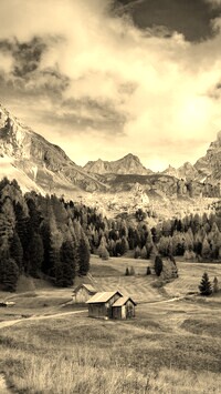 Szary + Sepia