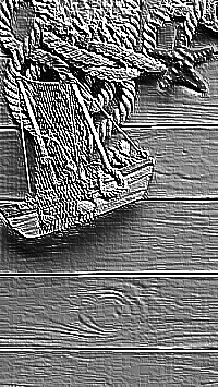 Skamielina