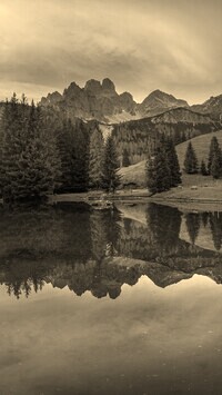 Szary + Sepia