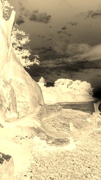 Sepia + Negatyw