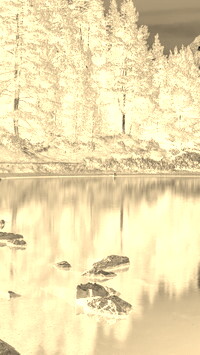 Sepia + Negatyw