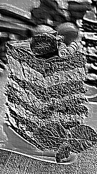 Skamielina
