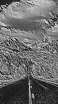 Skamielina