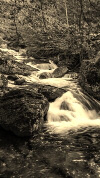 Sepia