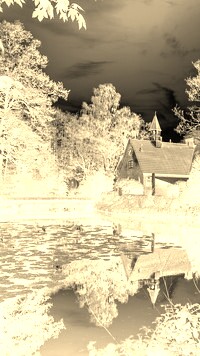Sepia + Negatyw