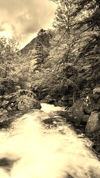 Szary + Sepia