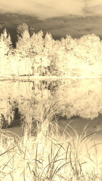 Sepia + Negatyw