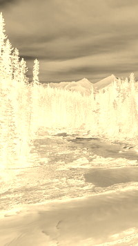 Sepia + Negatyw