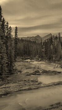 Sepia