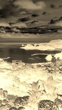 Sepia + Negatyw