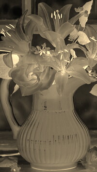 Sepia + Negatyw