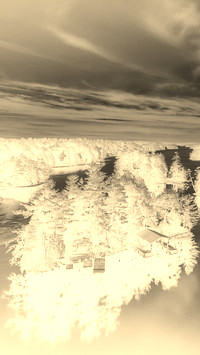 Sepia + Negatyw