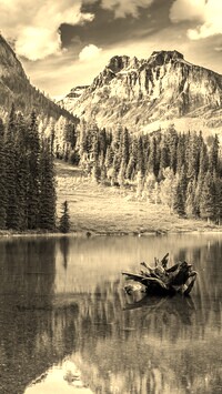 Szary + Sepia