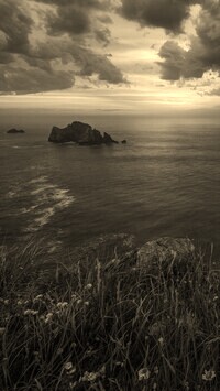 Szary + Sepia