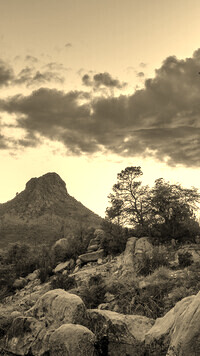 Szary + Sepia