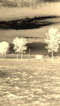Sepia + Negatyw