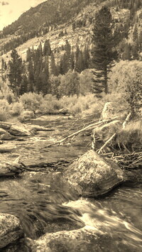 Szary + Sepia