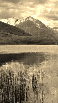 Sepia