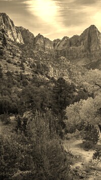 Szary + Sepia
