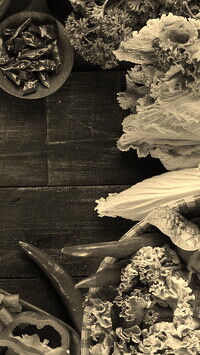 Szary + Sepia