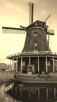 Szary + Sepia