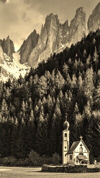 Szary + Sepia