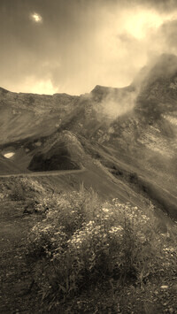Sepia