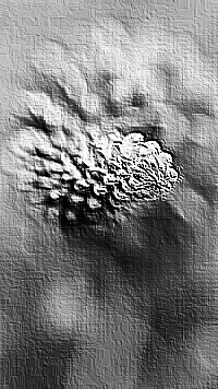 Skamielina