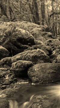 Sepia