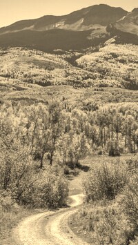 Szary + Sepia