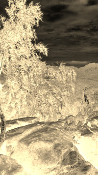 Sepia + Negatyw