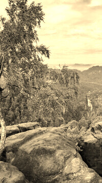 Szary + Sepia