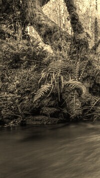 Szary + Sepia