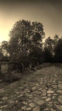 Szary + Sepia