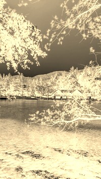 Sepia + Negatyw