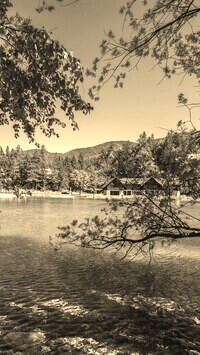 Sepia