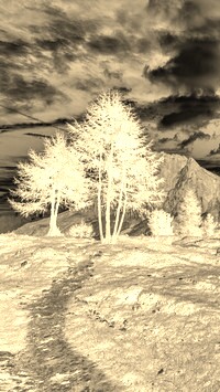Sepia + Negatyw