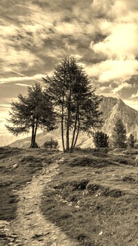 Szary + Sepia