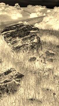 Sepia + Negatyw